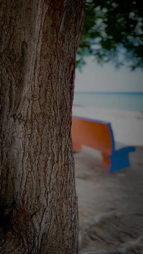 Colorful Beach Bench with Scenic Ocean Views