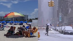 2K views · 16 reactions | Got your vax card handy? You might be a New...