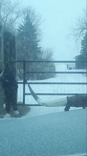 Testing my gate opener.