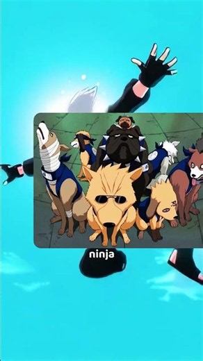 Most Naruto Fans Don't Know All 8 Of Kakashi's Dogs 😳 #naruto #anime