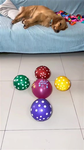 Complete this game 🎯🎮😍 #game #levelup #newgame #funnygame #mobilegames #IQTest #viralreels #kidsgames #anime #winning #cartoon #fbreelsviral2024 #kidsgame #2024trends #bottelegame #reelsviral #fbreels #reelsvideo #trendingreels #fypシ゚viral #viralreelsシ | Gamer ZoneX