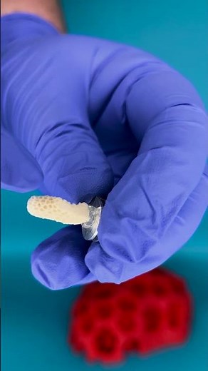 What are coral skeletons made of? | University of Southampton