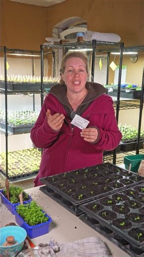 Diese gesunde Gemüsesorte darf man nicht vergessen im März