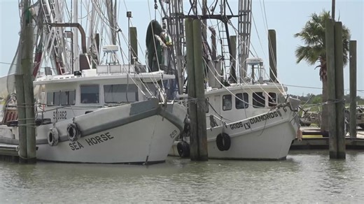 Rising diesel prices threaten future of Southeast Texas shrimping industry amid low shrimp prices