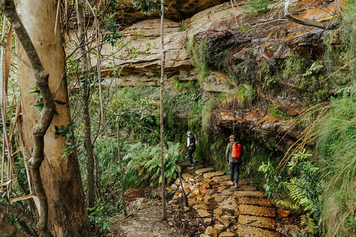 See all the Blue Mountains’ greatest hits in one brilliant walk | Blog - NSW National Parks