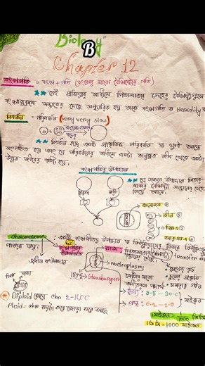 Notes.. #shorts #notes #notemaking #takingnotes #sscexam #ssc27 #ssc28 #ssc26 #study #studywithme