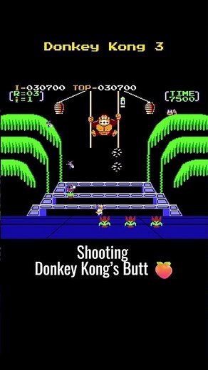 Donkey Kong 3 NES Gameplay & Nostalgia #gaming #nostalgia #nes #retrogaming