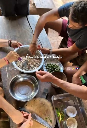 😆🐘Beyond the elephants, we love sharing the soul of our home. ✨ Did you know you can join us in the kitchen? 🥘 There’s nothing quite like learning to cook traditional Lao food using local ingredients and techniques passed down through generations 🇱🇦🥗🍅🍴 #LaoElephantHome #EthicalTourism #ElephantConservation #TraditionalCooking