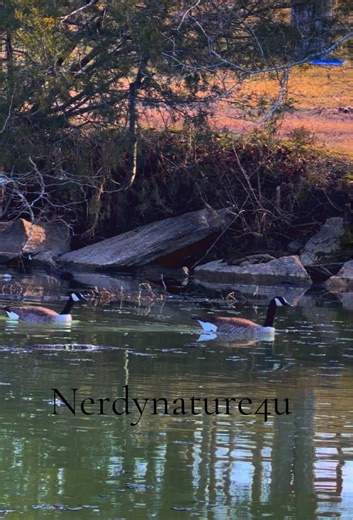 Everything nature feels emotional. Especially after making these videos. The connection is kinda something I’ve never felt before.