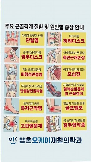 주요근골격계질환 #거북목 #건강관리 #관절염 #건강정보 #근골격계질환 #근골격계질환 #무릎통증 #디스크