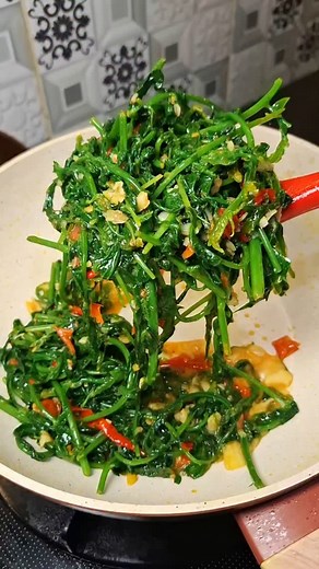 Fitri_shuu on Instagram: "Tumis kesukaan siapa nih? Resep Tumis Pakis Ulek kasar : 9 siung bawang putih 5 buah cabai merah 4 buah tomat cherry 1 Sdt garam Pelengkap: 1 Sdt gula pasir 1 Sdt penyedap 3 Sdm air 5 Sdm minyak u/menumis #sayurpakis #tumispakis #fitrishuu #resepfitrishuu"