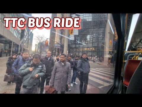 TTC 121 Bus Ride to Union Station