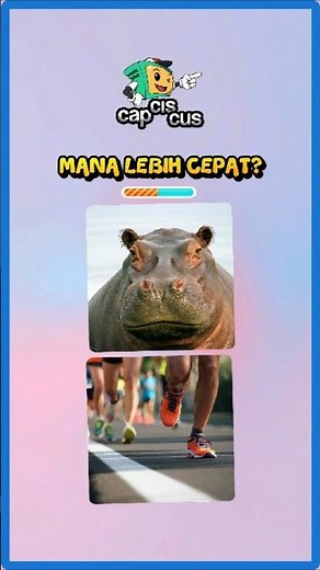 Manusia vs Kuda Nil? 🆚 Video Edukasi Anak Mengenal Hewan