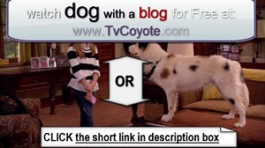 Dog With a Blog Season 2 Episode 1 - Too Short  - HDTV -