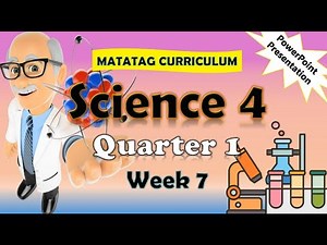 Science 4 Q1 Week 7 MATATAG PowerPoint Presentation #matatagcurriculum #matatag #grade4