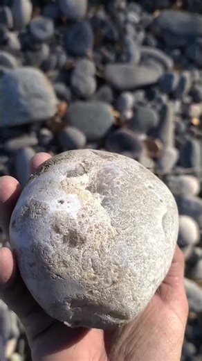 A healthy piece of agate that will be polished #geology #gemstone #agate