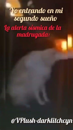 ¿Quién dijo 2026 sorprendeme? #humor #meme