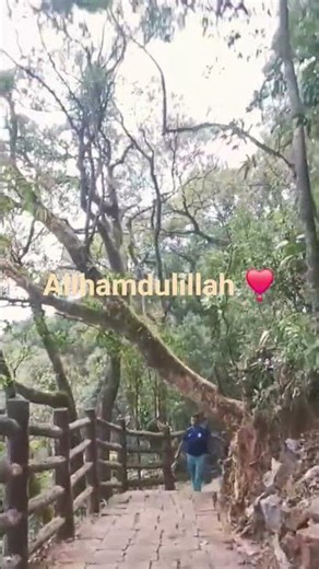 Give thanks to Allah and Allah will increase his blessings on you. #peace