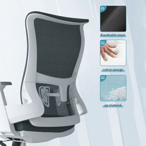 [Hot Item] Factory Mesh Office Chair Computer Desk Task Chair
