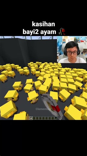 Momen Bayi Ayam Minecraft