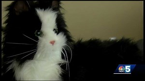 Robotic pets could be solution to social isolation, depression in older adults