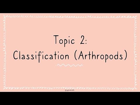 Topic 2 - Classification of Arthropods