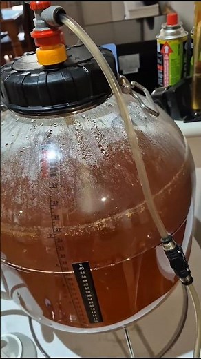 Beer Bottle Can Explode itself? #deadly #explosion #beer #shorts