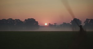 Lely | Innovatieve oplossingen voor de landbouw