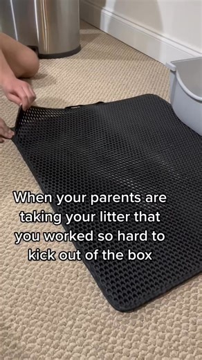 Say Goodbye to Messy Floors with Our Waterproof Cat Litter Mat. We pinned the link in the comments! | Happy Cats