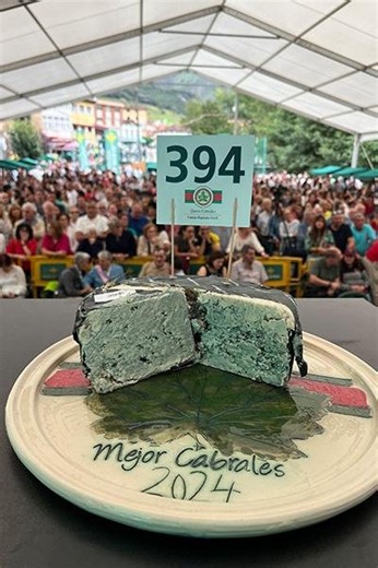 World's most expensive cheese sells for $42,232