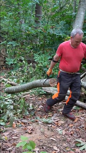 Moving a #Log with Lifting / Logging Tongs