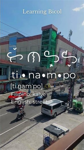 Learning Bicol Words : Tinampo #bicol #siningbaybayin