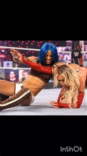 wwe wrestling fight man vs woman