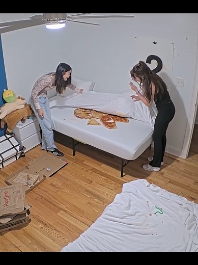 ellie's bed has been vandalized. direnc has some choice words. #fishtanklive #mde #realitytv #fishtankseason4