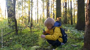 Cute schoolchild exploring nature with magnifying glass. Little boy look at the plant with magnifier. Summer activity for inquisitive child. Hike in the sunny forest for a family with a kid.