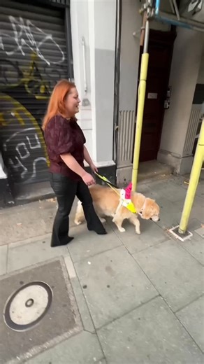 Lucy Edwards #BlindNotBroken on Instagram: "Will my guide dog navigate me around scaffolding while I have heels on?? I’m in central London going to an event and she is just the best 🎀 Video description: Lucy and Miss Molly walk through the streets of London, they come across some scaffolding that Molly guides Lucy round without Lu even knowing."