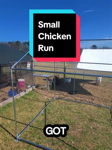 Building a Backyard Chicken Run with Vivo