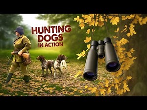 Wild Bird Hunting in Deep Autumn Forest | Hunting with Dogs in Nature 🍂🔥