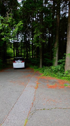 We found an abandoned school in Japans most haunted Forest. | Exploring with Josh