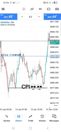 Understanding CPI in Forex Trading