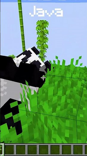 Minecraft Java vs Bedrock Differences You Need to Know! #minecraft #minecraftjava #javavsbedrock