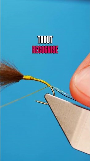 🎣 Emergers in the Film, How Shuck Imitation Triggers Confident Takes