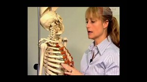 LIMB ASSESSMENT PRESENTATION - complete  (1:30)