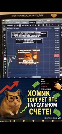 BitMEX снова в игре! 🚀 Живая торговля и стратегия от трейдера