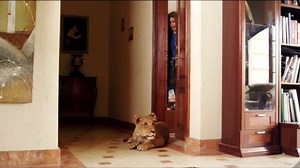 240K views · 7.1K reactions | حماتها حطتلها اسد قدام باب شقتها  شوف عملت ايه #رمضان_الخير #MonthOfGood | MGR Production & Distribution | Facebook