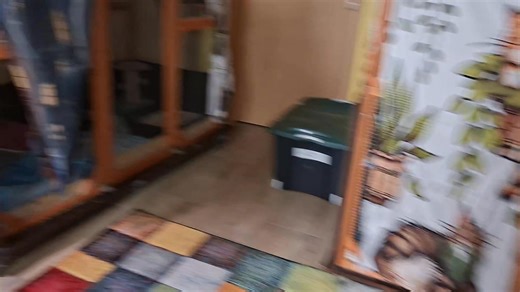 Thomas Brauckmann on Reels