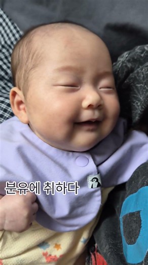 앱솔루트 명작 후기