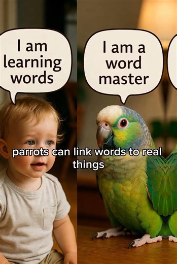 “Parrots Understand Words: Amazing Smart Bird Communication Explained”