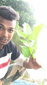 Assam fish 🐠 #anvar1152021 #fishing #assam #vairal | Anarul.official.556