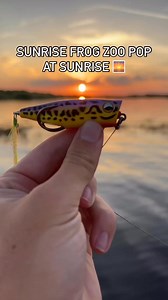 Nothing like a bite on the Sunrise Frog pattern Zoo Pop at sunrise 🌅 👀🎣#fishing #lures #topwater #bassfishing #bait #tackle #zoo #popper | Snag Proof Lures